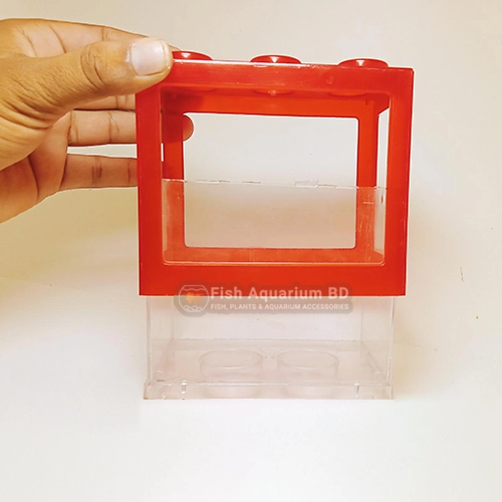 Fighter Fish Box Betta Fish Tank Fighter Fish Box style Tank Fighter Box Plastic Box