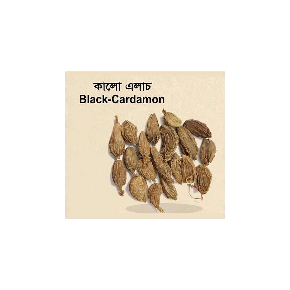 Black Cardamom (Elach) - 50 Gm
