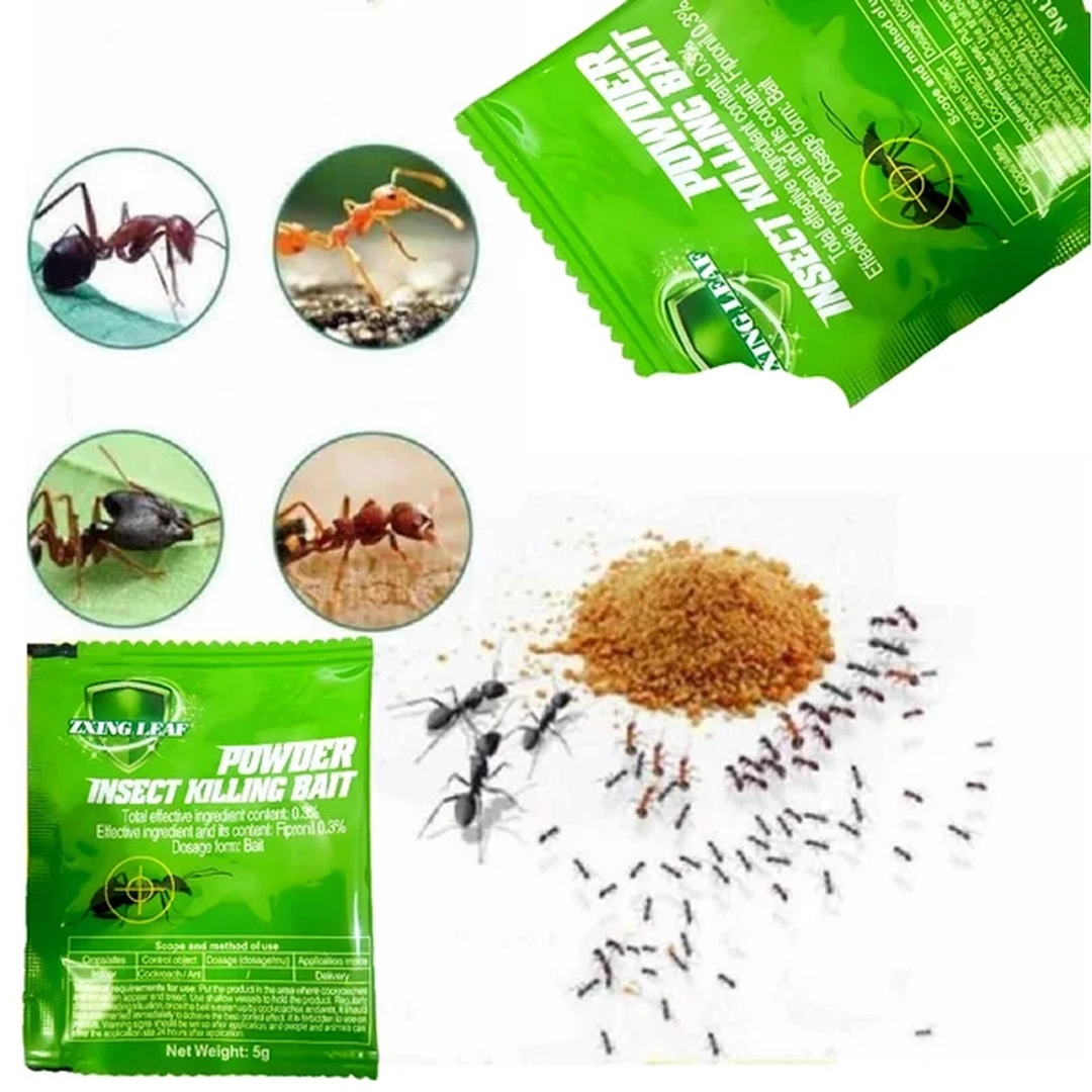1/2 Pack Insect Killer Ant killing bait Powder Cockroach Insecticides ...