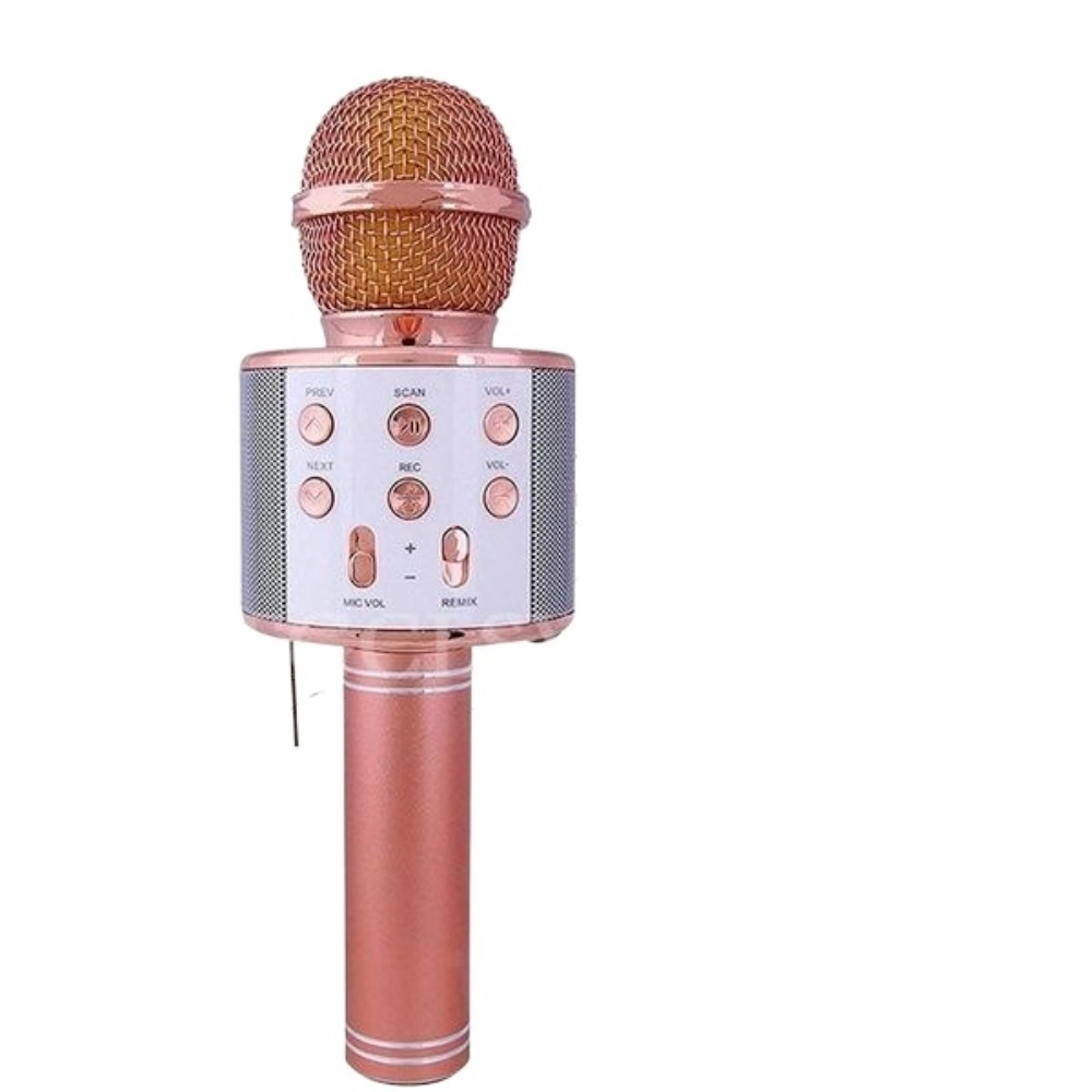 Microphone Geant New Model Portable Multi-function Wireless Microphone Karaoke KTV ...