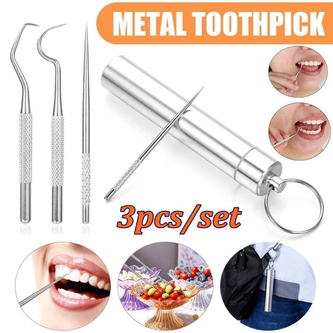 3Pcs/set Portable Toothpicks Stainless Steel Tooth Pick Sticks Pocket ...